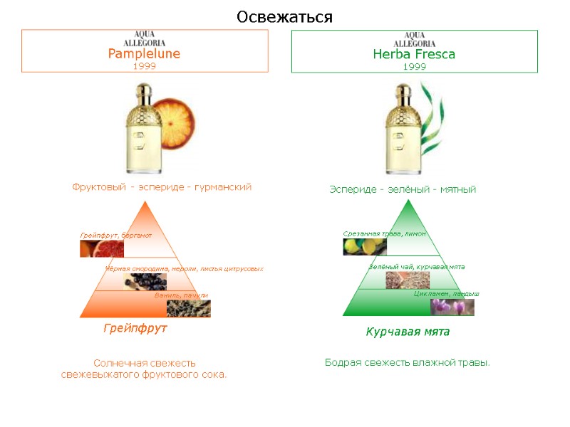 Освежаться Грейпфрут Солнечная свежесть свежевыжатого фруктового сока. Фруктовый - эспериде - гурманский Эспериде -